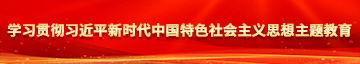 插女人BB爽叫视频爽爽高学习贯彻习近平新时代中国特色社会主义思想主题教育